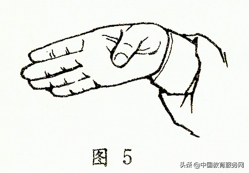 九宫旋转十二桩法,九宫八卦如何旋转