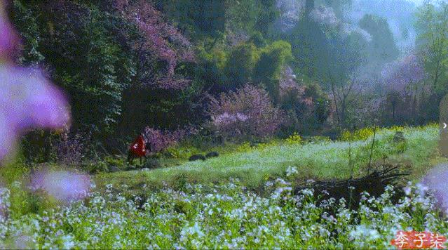 李子柒又出新视频,火爆国内外的网红李子柒