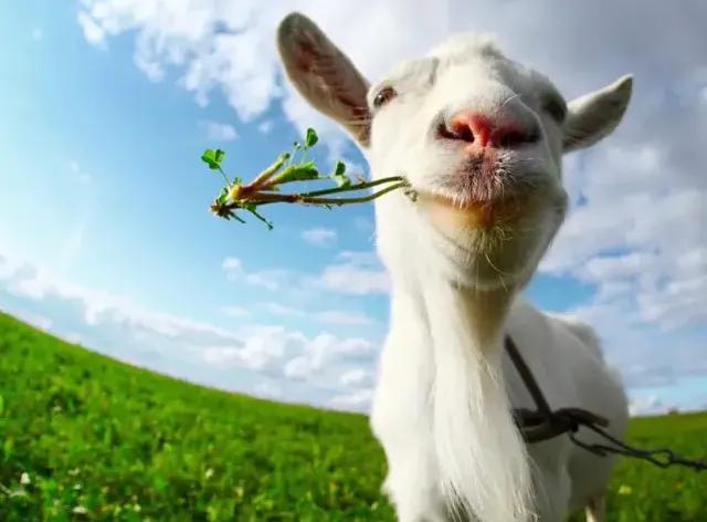 好纠结不知道给宝宝喝哪款奶粉,怎么知道宝宝喝的奶粉是否适合