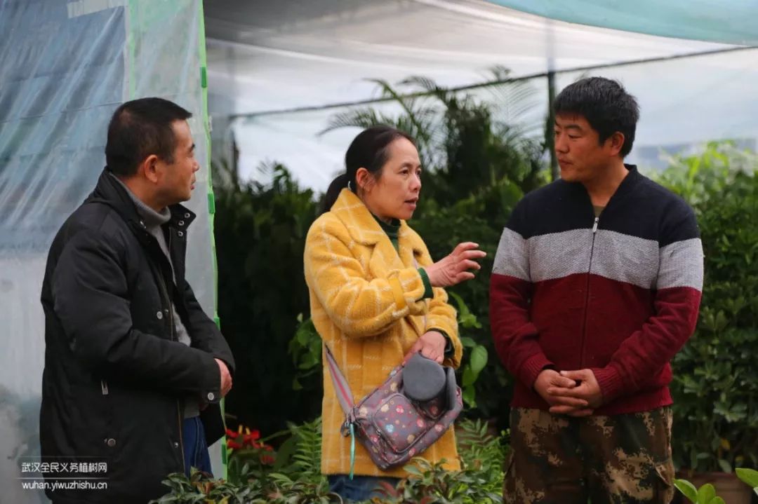 园艺沙龙|前方高能！一大波人相约逛花市，究竟淘了些啥？