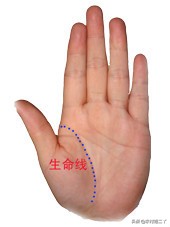 八分钟教你看手相,看手相学习好看哪根线