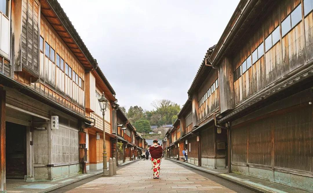 浣犺浣犱笉鎳傚懆鏉颁鸡姝岃瘝,浣犺浣犱笉鎳傚懆鏉颁鸡