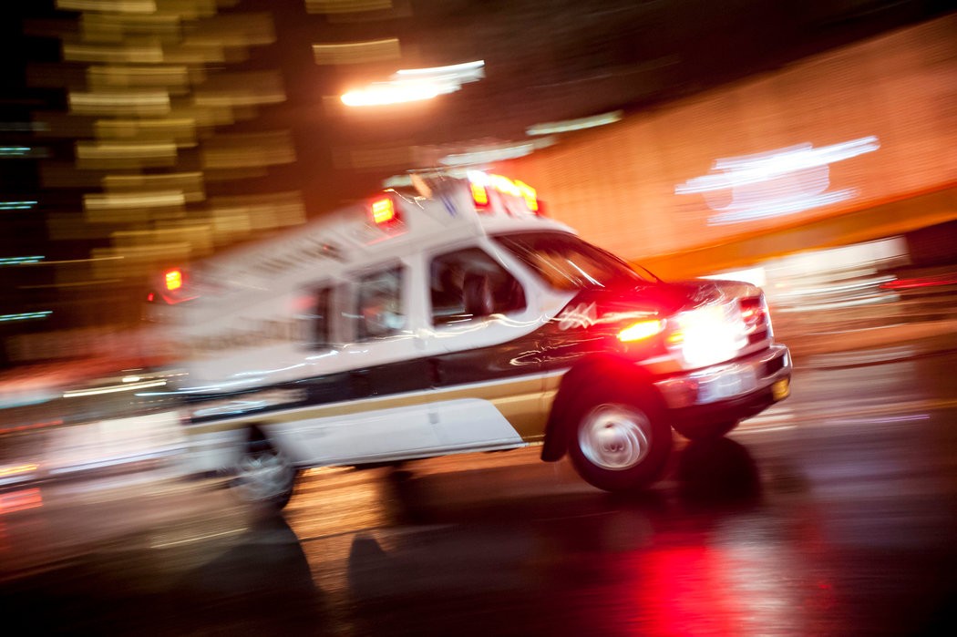 比眼镜蛇毒强的剧毒,比眼镜蛇毒强12倍的虫子