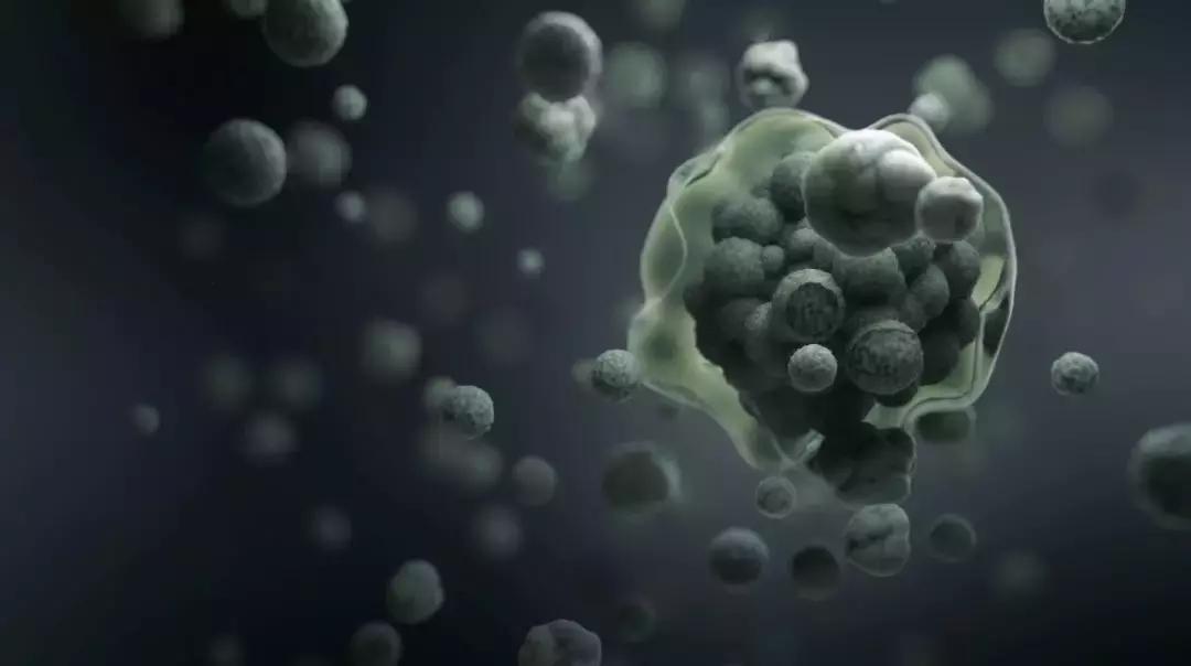 《手术两百年》国内第一部全景展现人类与疾病抗争的科学纪录片