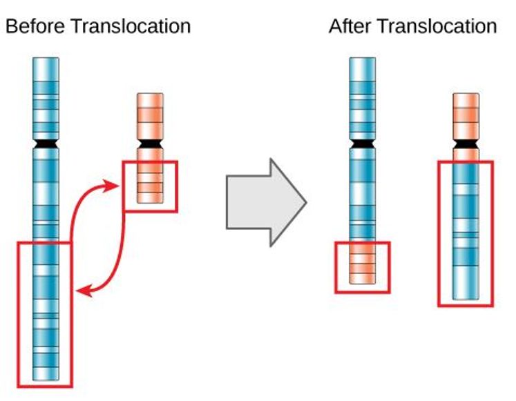 流产后不怀孕检查什么,流产完不复查可以吗
