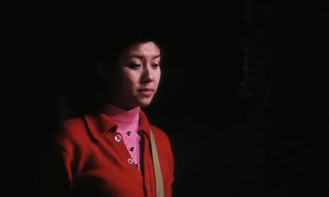 可惜没在中国上映的电影,李冰冰05年电影