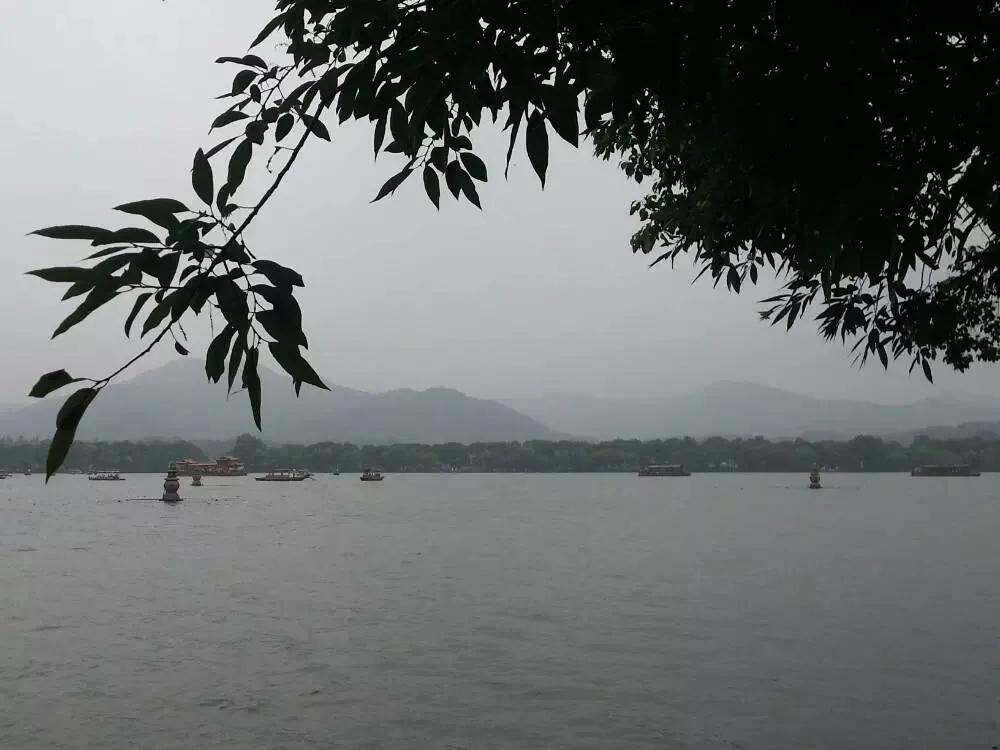 倪海厦看诊讲座视频,倪海厦问诊心得