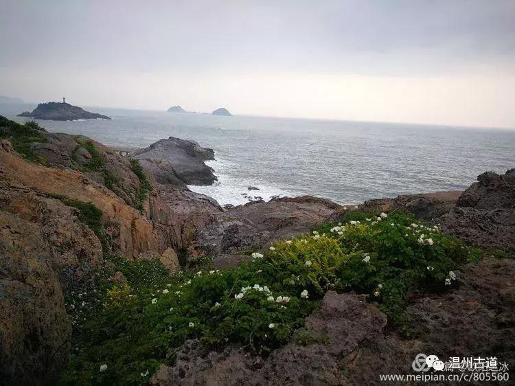 鹿西岛白龙屿旅游攻略,鹿西岛白龙屿日出