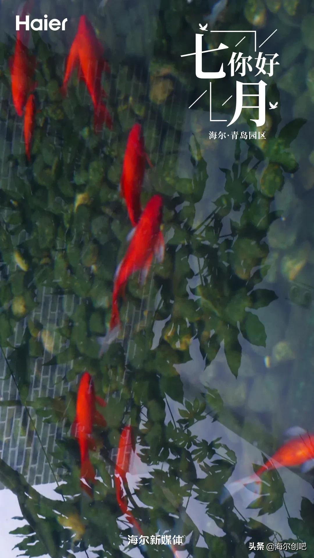 你好七月歌曲完整版,你好七月音乐视频