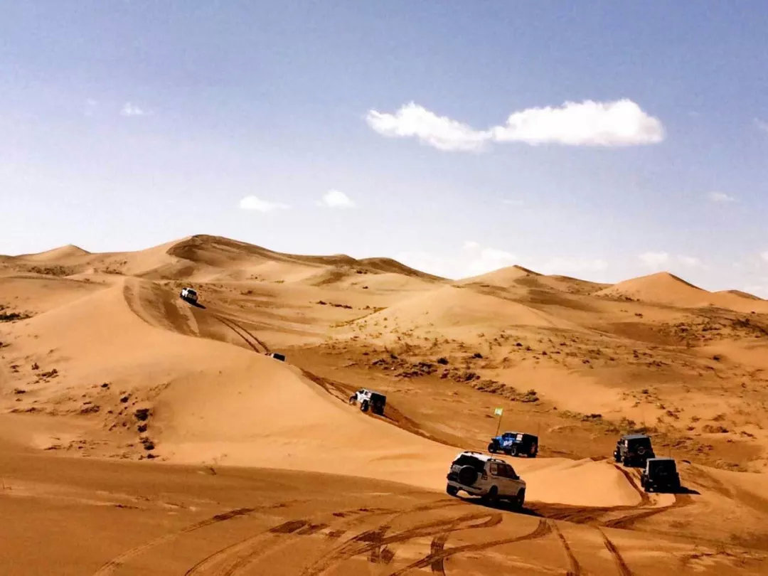 沙漠亲子营价格 (沙漠亲子陪伴营优惠政策)