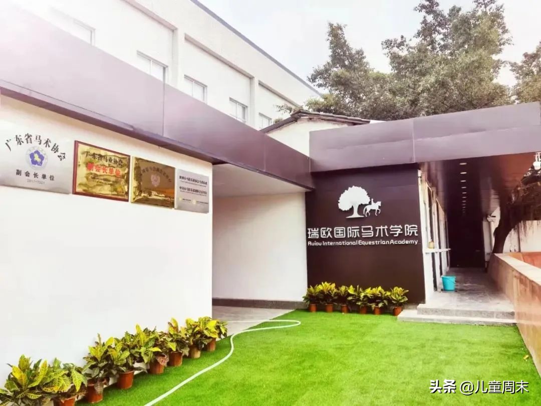 深圳海边骑马地点推荐,深圳骑马最佳地点