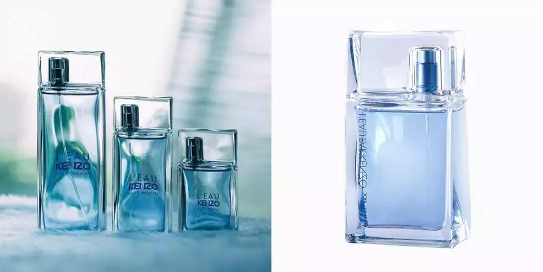 什么男人最有吸引力 (什么样的男人吸引力大)