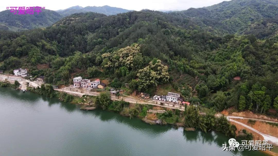 昭平县桂江东岸公路视频,贺州昭平道路建设