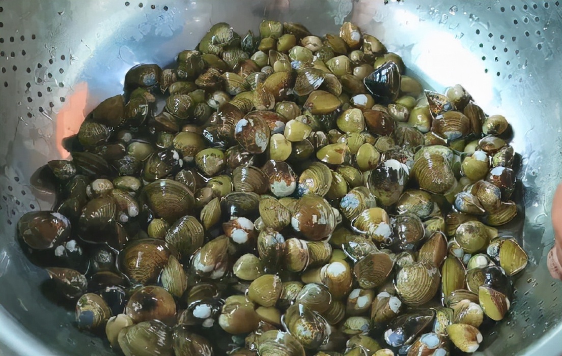 河蚬：儿时河里大把，因肉少被嫌弃，如今成稀罕货，常年出口日韩