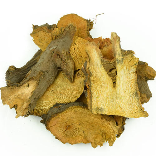 中药虎杖的功效与作用脾胃虚弱,虎杖降血脂的中药