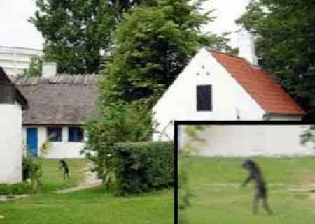 河童是日本的传说吗,河童是什么传说