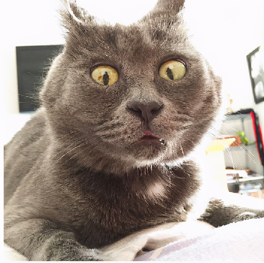 这年头的吻戏都这么激烈的么，嘴唇都是铁做的吧？