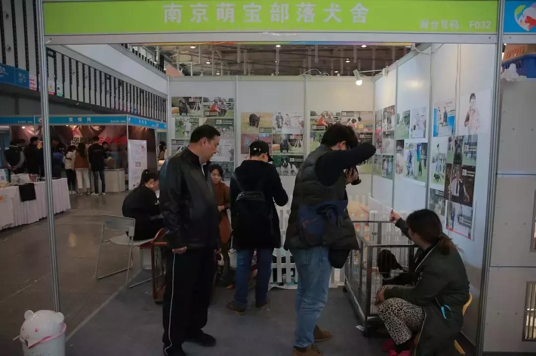 2019年第161届中国宠物文化节,2018年宠物文化节