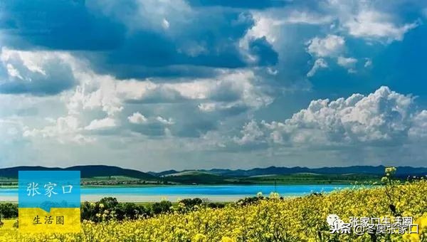 张家口全市今天最新消息,张家口最近有什么重磅消息