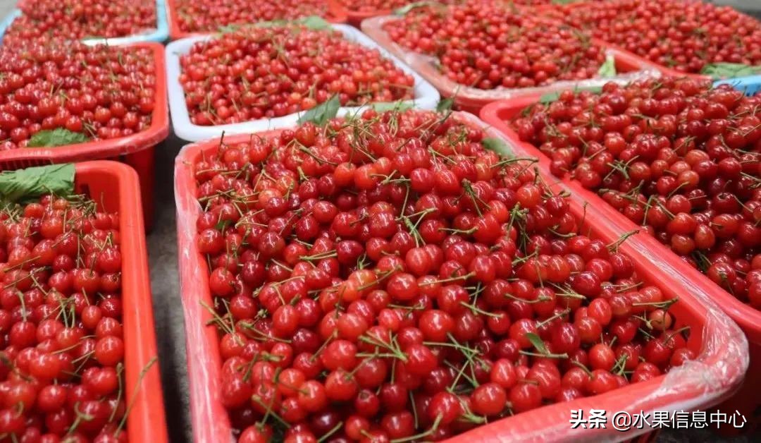 揭秘各种水果批发的价格,批发市场卖水果的技巧