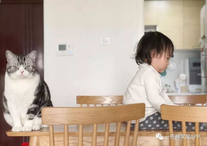 生活中买什么可以增加幸福感,买了提升幸福感的东西