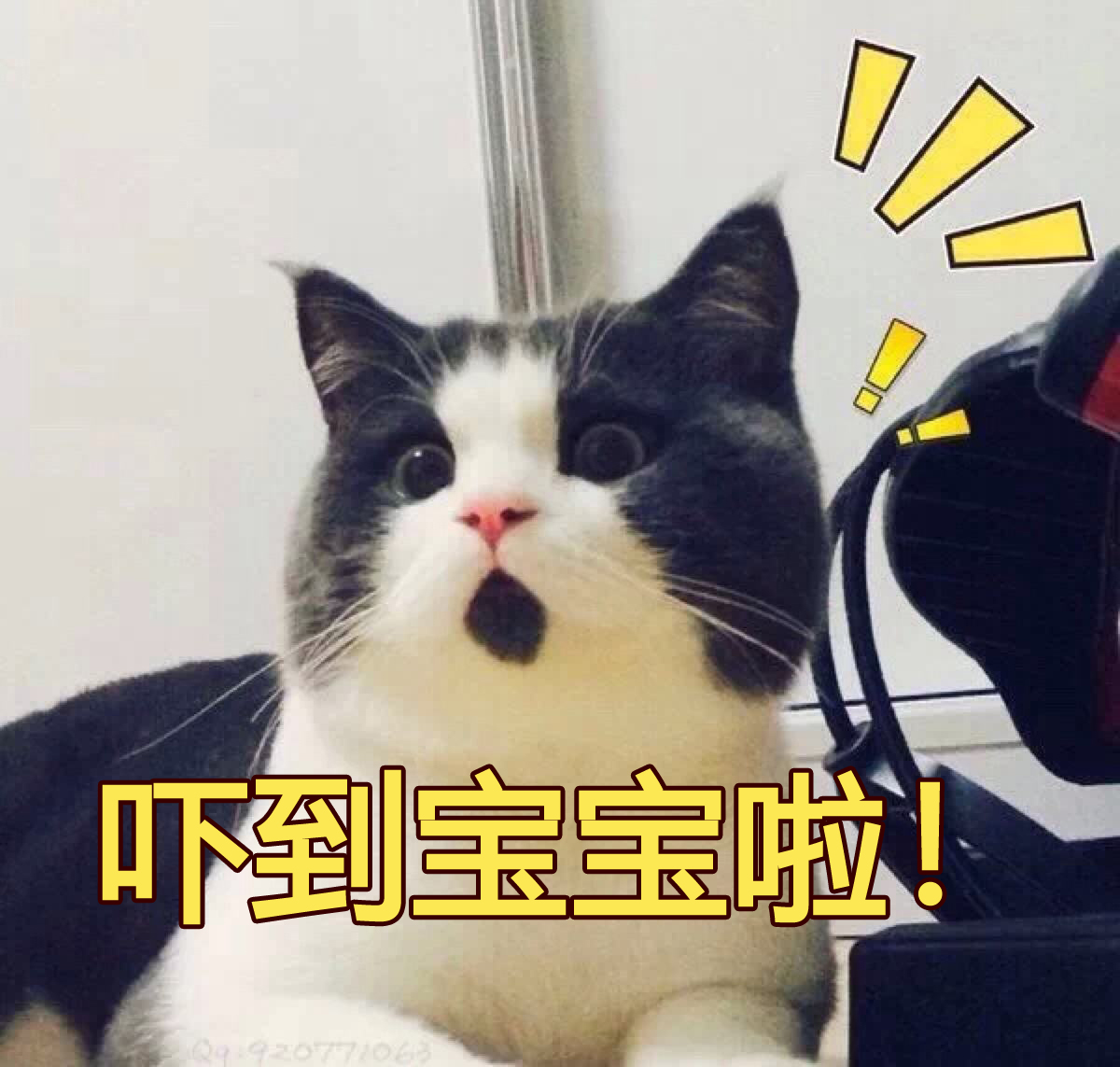 上影厂拍摄的老演员是谁,80年代上影厂3位美女明星