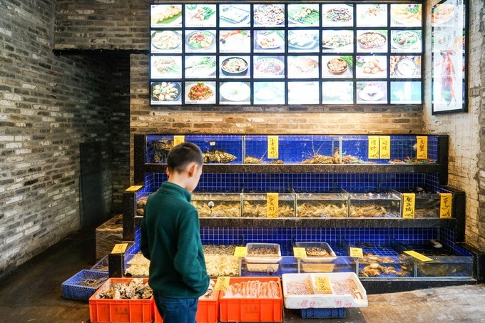 广东顺德美食旅游攻略学生,顺德自驾这份美食攻略要收好