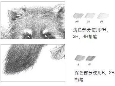 怎么画戴着红领巾的小熊猫,画一只小奶猫超级简单