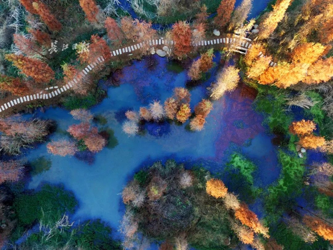 武汉11月打卡景点和网红地,武汉50个值得打卡的地方