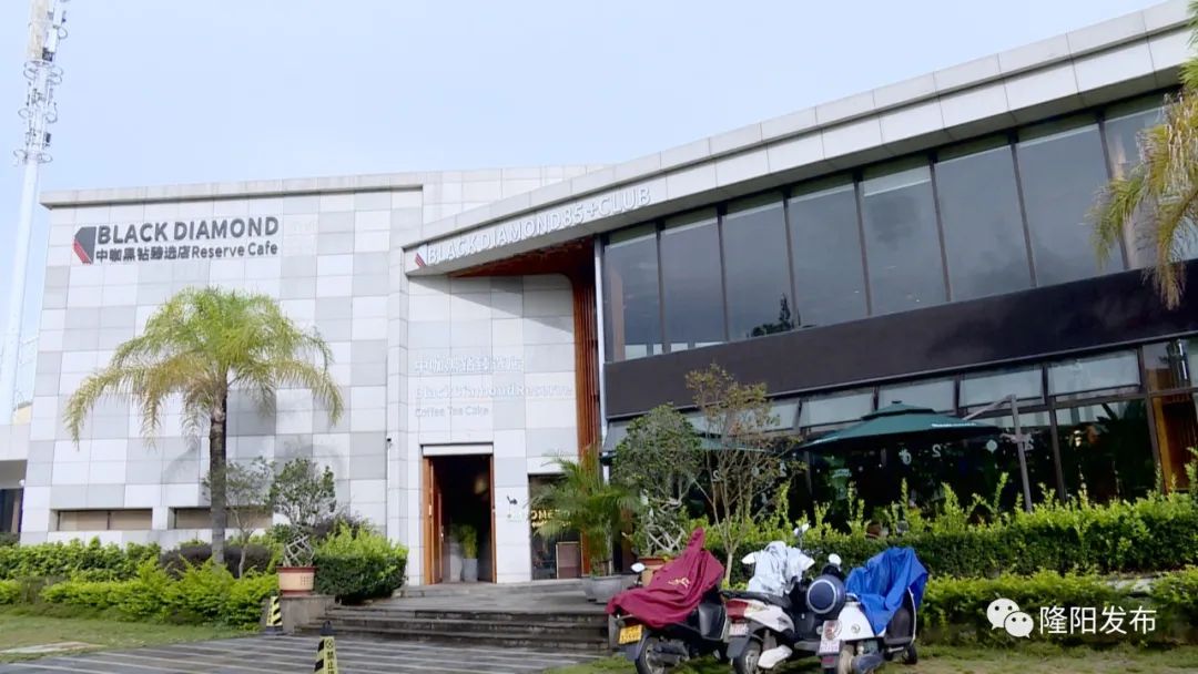 云南保山潞江坝小粒咖啡,保山小粒咖啡跨境电商