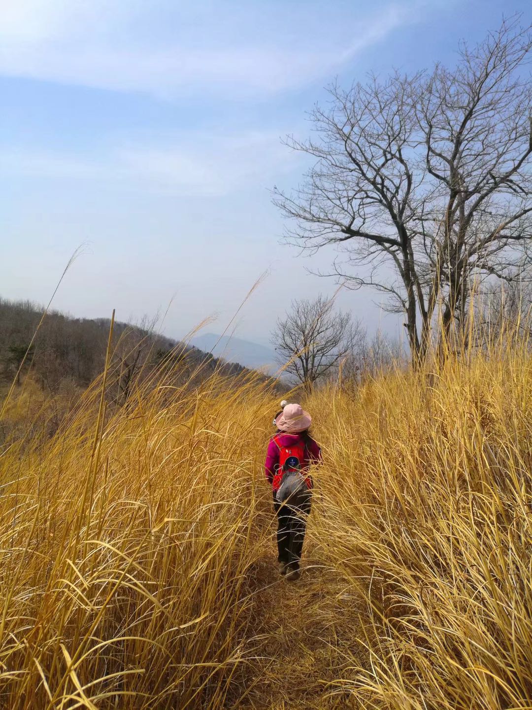 郑州最近山顶草原,离郑州自驾最近的大草原有哪些