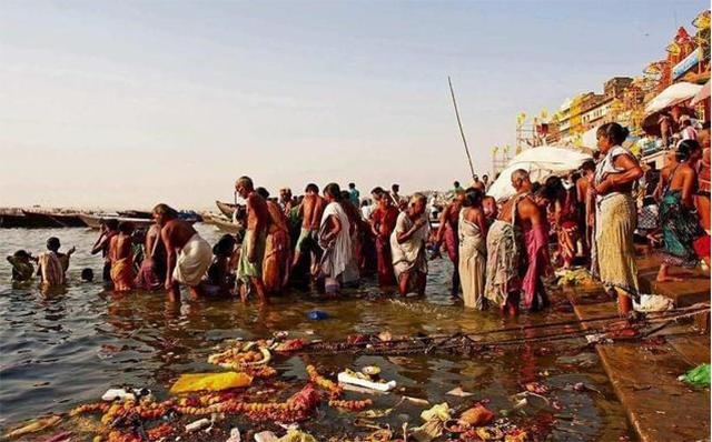 印度掏粪工死于什么病,印度掏粪工死亡人数