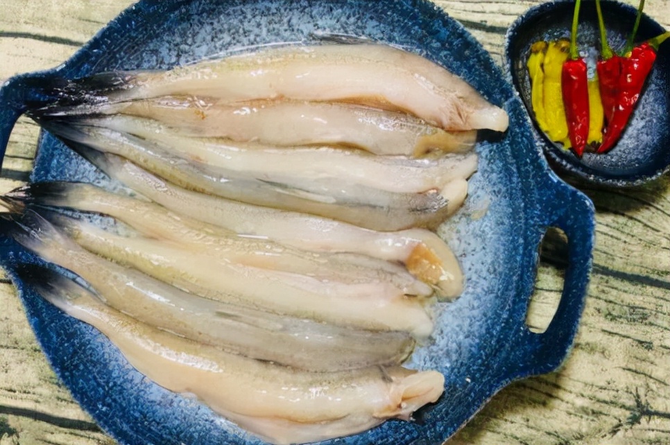 5种无法人工养殖的野生海鱼,哪些食用海鱼可以人工养殖