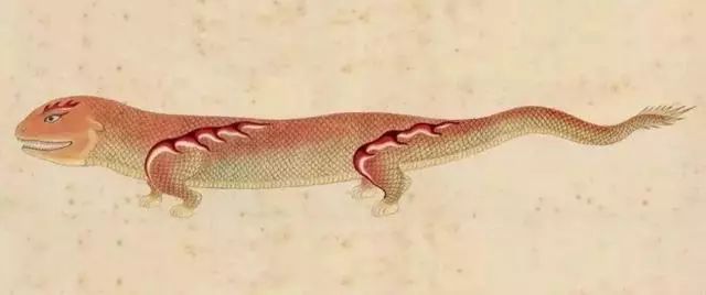 清代海错图有用吗,故宫海错图展