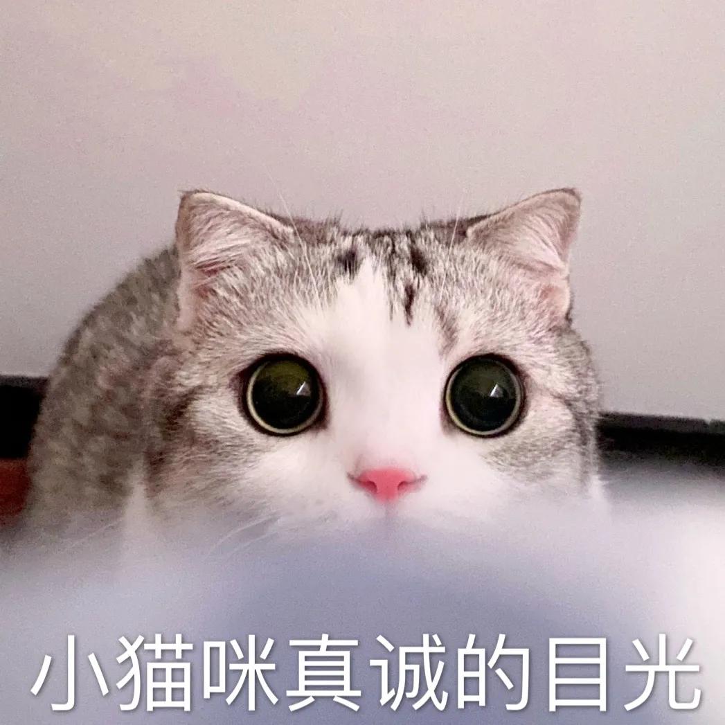 这个没有存在感的省会城市，好吃到我想定居