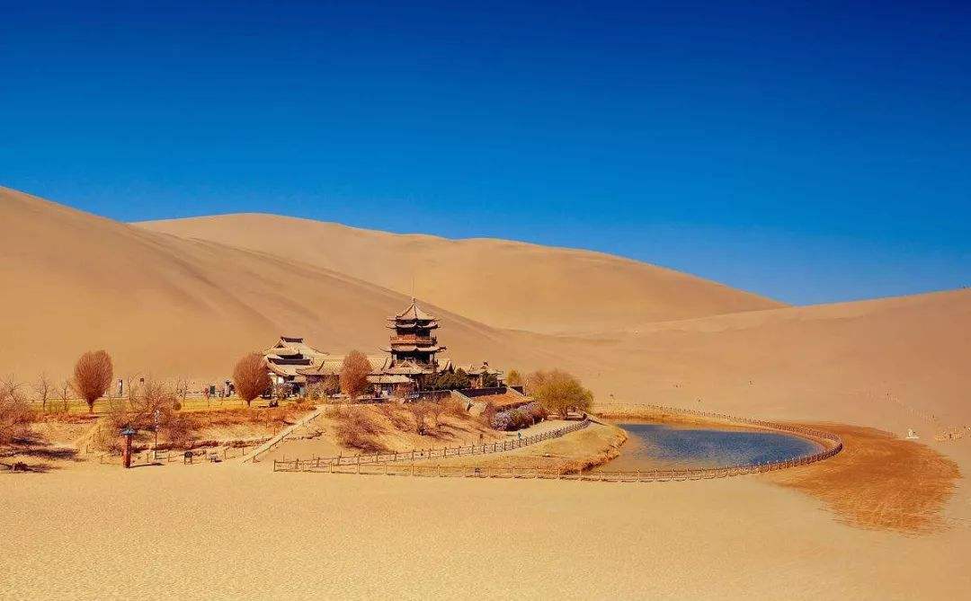 曼陀罗-植物界的美杜莎，她可以随意观赏，但请勿展现吃货本性