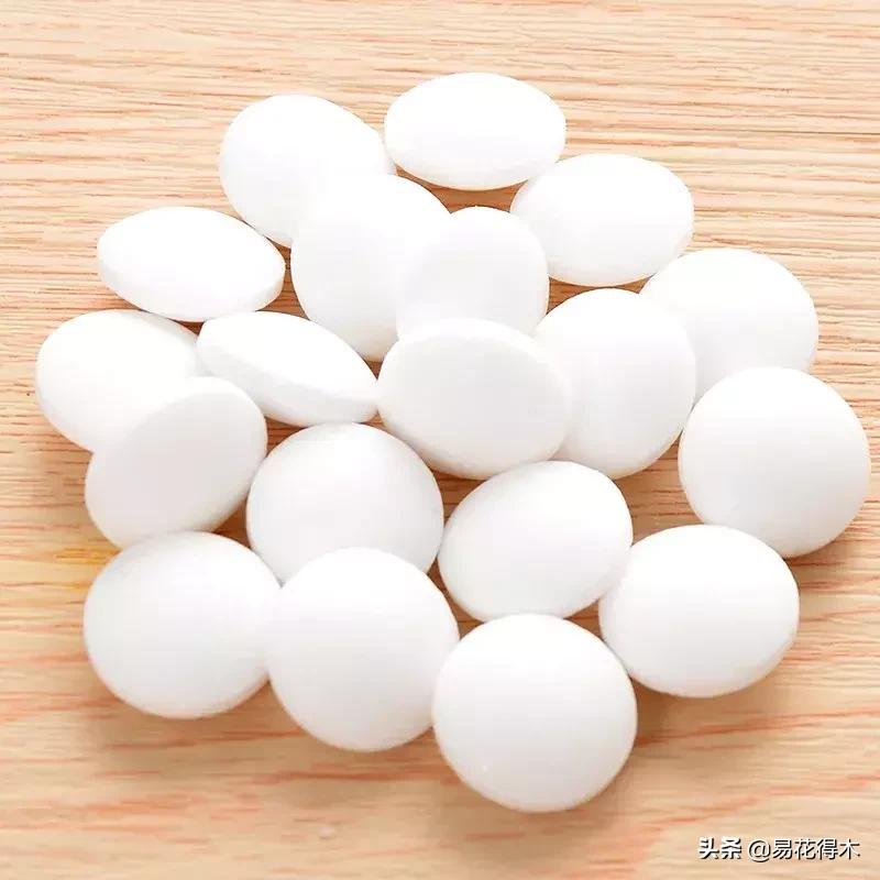 盆栽小黑飞虫怎么治,盆栽有小飞虫怎么处理