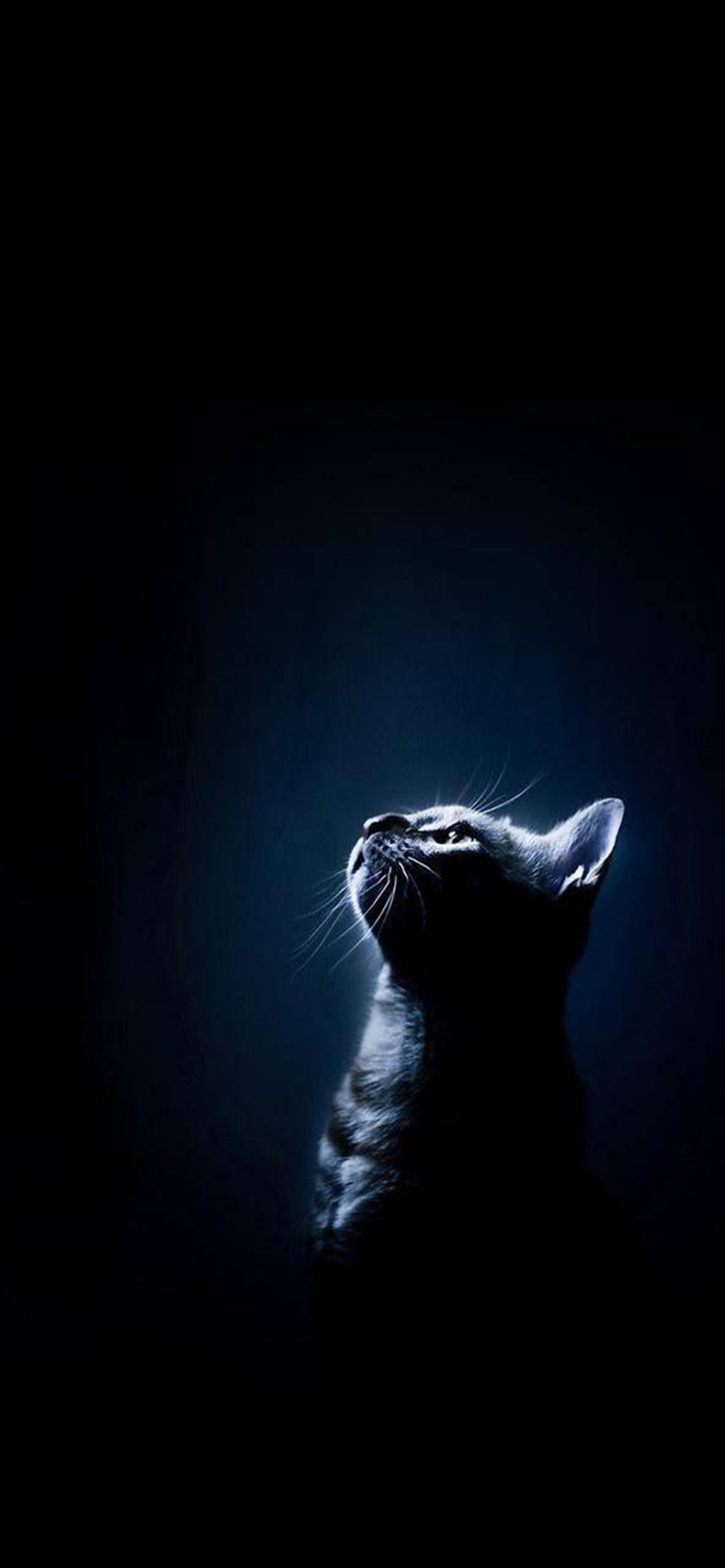 一个人孤独背影黑色壁纸,黑白孤独一人背景壁纸