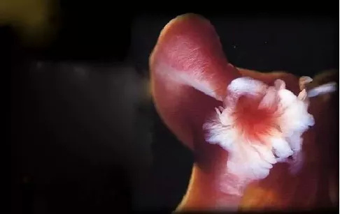 每一个都那么拼命前进，我们还好意思去选择性别吗？