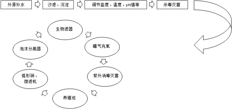 海水工厂化循环水养殖技术,海水循环水养殖设备