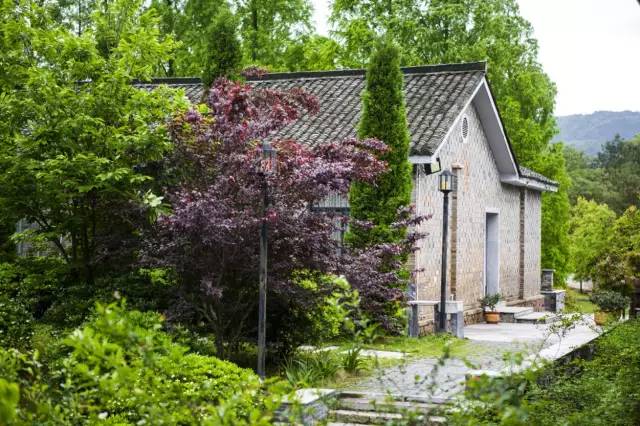 冷冷冬日泡着暖暖的温泉,阴冷潮湿的天气里泡个温泉