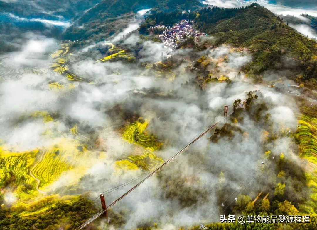 婺源这片仙境般的油菜花田已上线！超级美腻！赶紧约起来