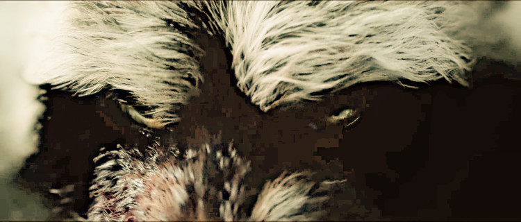 怒晴湘西探险之路,怒晴湘西画面色调像电影