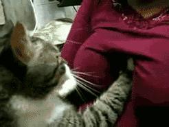 爱我，就给我舔屁股吧