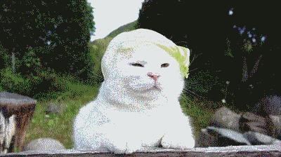 自己弄发型失败,当发型被毁了