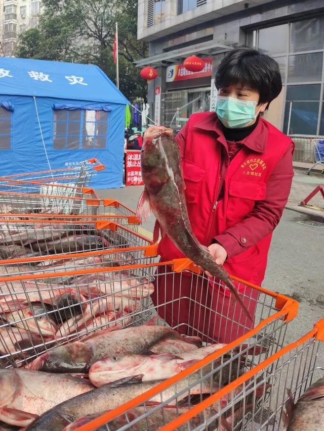 从八月的疫情防控来看什么感悟,从抗击疫情看中国力量