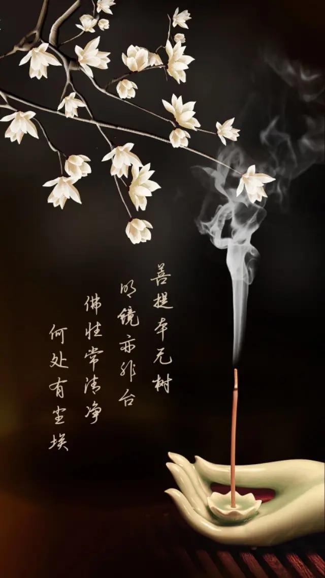 一叶一世界一花一菩提手机壁纸,一花一心一辈子壁纸