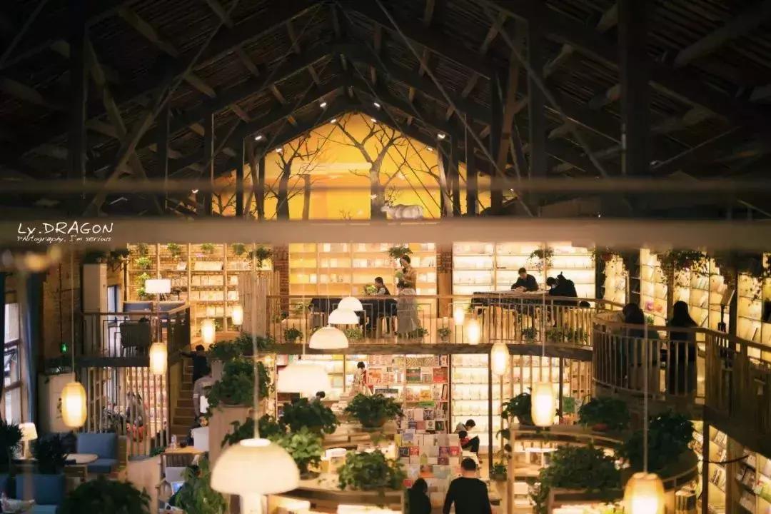 洛阳鹰嘴山沿黄公路自驾游攻略,洛阳旅游景点攻略最值得去的地方