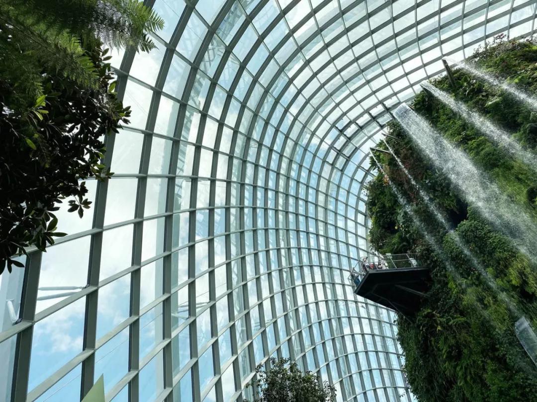 疫情期间去埃及旅游的亲历,疫情期间从深圳直飞洛杉矶体验