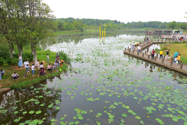 南昌动物园哪里有大象,南昌大象公园